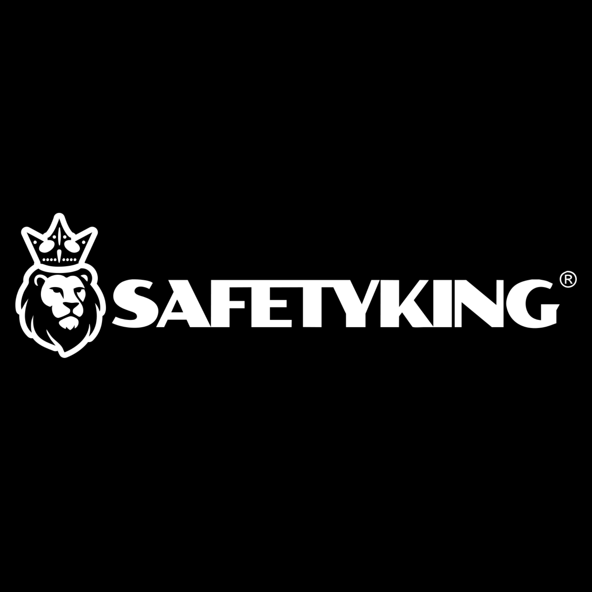 SAFETYKING TAG SYSTEMS