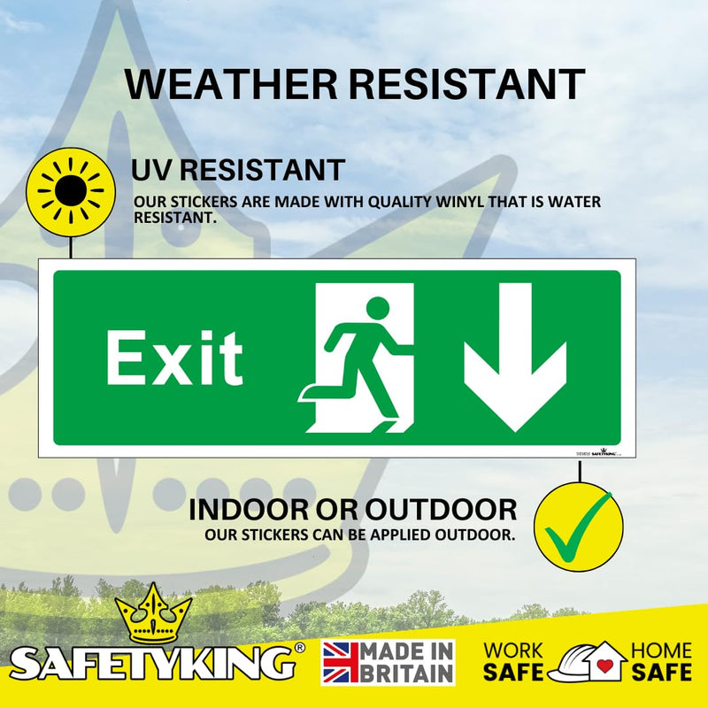 Load image into Gallery viewer, SAFETYKING® 1 Piece Fire Exit Sticker Running Man Down Sticker | 30 cm x 10 cm Self Adhesive Sticker | Fire Exit Signs | Fire Exit Stickers | Fire Exit Safety Pack | Running Man Fire Exit Signs